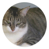 Miss Hannah stickers