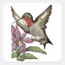 MISS HUMMINGBIRD - Personified Bird Square Stickers