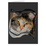 Miss Kitty Card