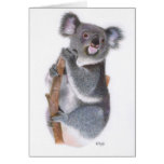Miss Koala cards
