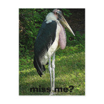 miss me? postcards by racham miss me? postcards