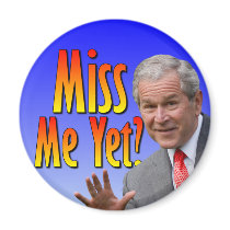 Miss Me Yet? Tea Party Favorate Refrigerator Magnets