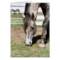 Miss Peppy Shu Greeting Card
