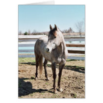 Miss Peppy Shu Greeting Cards
