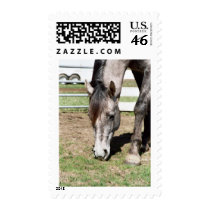 Miss Peppy Shu Stamps