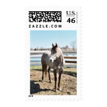 Miss Peppy Shu Stamps
