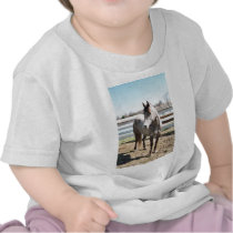 Miss Peppy Shu Shirts