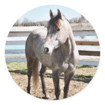 Miss Peppy Shu Round Sticker