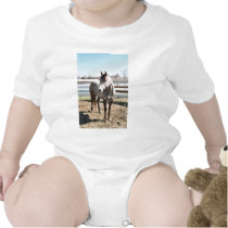Miss Peppy Shu t-shirts by knotth Miss Peppy Shu t-shirts