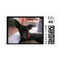 Miss Pip Postage