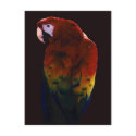 Miss Scarlett postcards by Sky_Blue_Photography Miss Scarlett postcards
