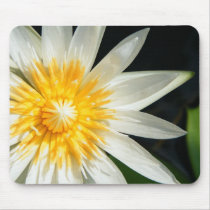 Miss Sunshine mousepads