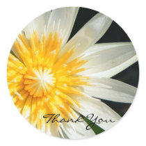 Miss Sunshine - Thank You stickers