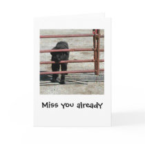 Miss you already cards