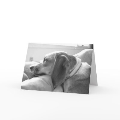 Miss you greeting cards by arthist99