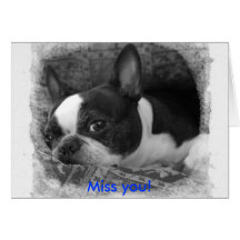 Miss you! cards