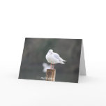 miss you greeting card