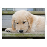 Miss You Greeting Card