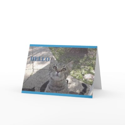 Miss You kitty card by littleyellowjacket