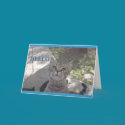Miss You kitty card