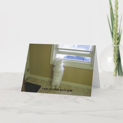 Miss you-No tail cat Greeting Cards by BrensLens