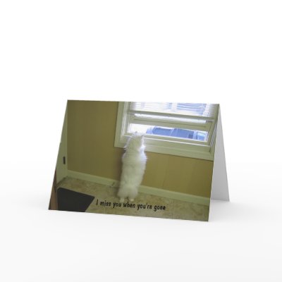 Miss you-No tail cat Greeting Cards by BrensLens