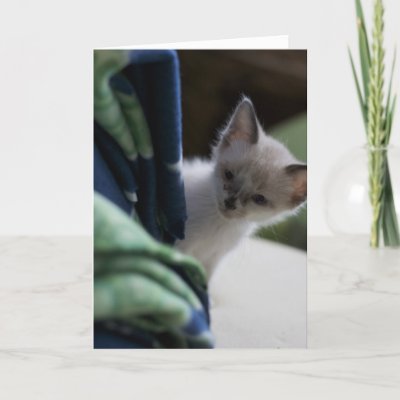 Peek-a-Boo Siamese Kitten greeting card w/ "Peek-a-Boo I miss you" inside.