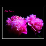 Miss you peony Postcard postcards
