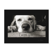 Miss you! postcards by KPystol Miss you! postcards