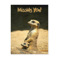 Miss You Postcard