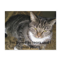 Miss you postcards
