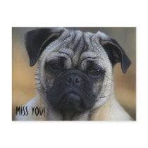 Miss YOU! postcards by timndeb Miss YOU! postcards