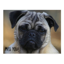 Miss YOU! Postcard