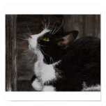 Miss You Poster