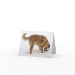 Miss You So Much, I'm Acting Weird - Western Greeting Card