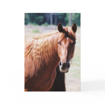 Missed Colored Greeting Card