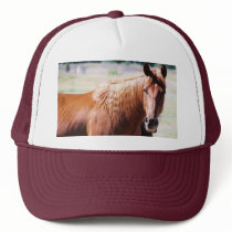 Missed Colored Trucker Hat