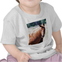 Missed Colored T Shirt