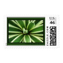 Misses Kisses  postage