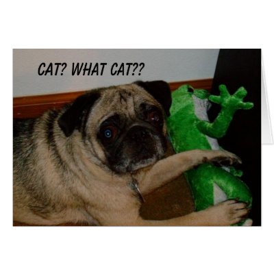 Missing Cat Card