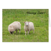 Missing Ewe! cards by katmal Missing Ewe! cards