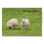 Missing Ewe! cards