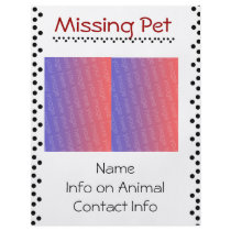 Missing Pet Flyer