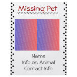 Missing Pet Flyer