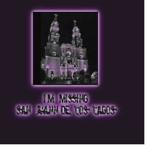 Missing San Juan de los Lagos Photo Sculptures
