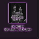 Missing San Juan de los Lagos Photo Sculptures
