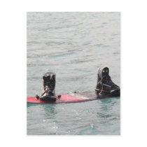 Missing Wakeboarder Postcard