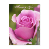 Missing You/Any Occasion_Postcard