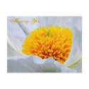 Missing You/Any Occasion_Postcard