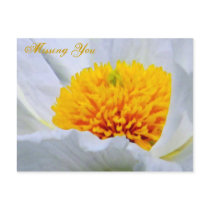 Missing You/Any Occasion_Postcard by ELENNE Missing You/Any Occasion_Postcard